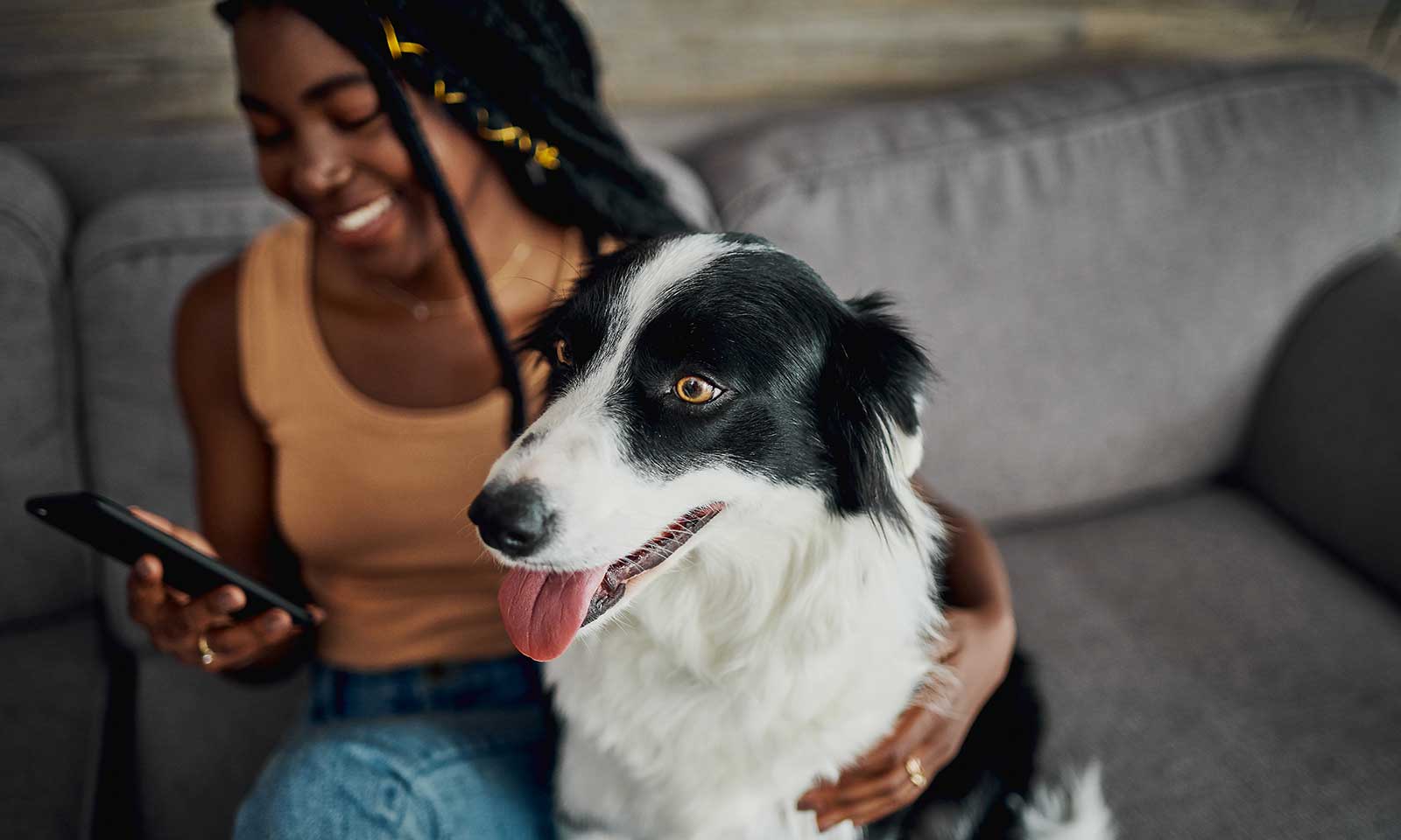 A dog with their human